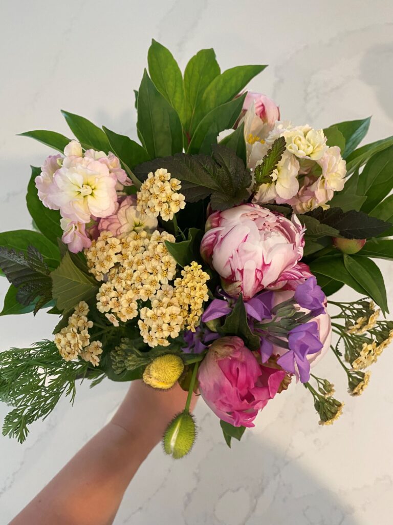 Sweet Annie Blooms - Fresh Cut Flowers